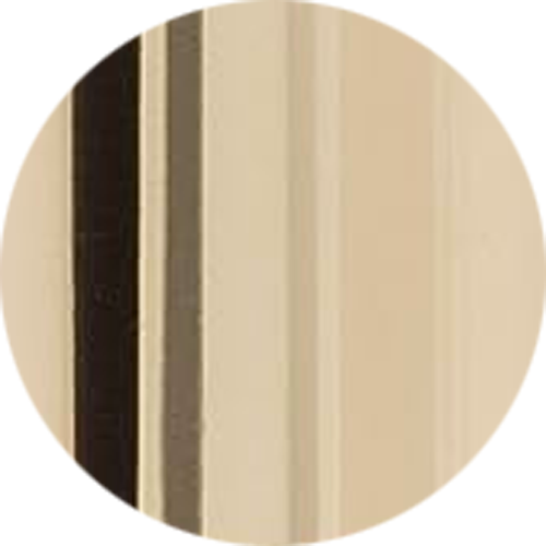 Champagne Foil Swatch