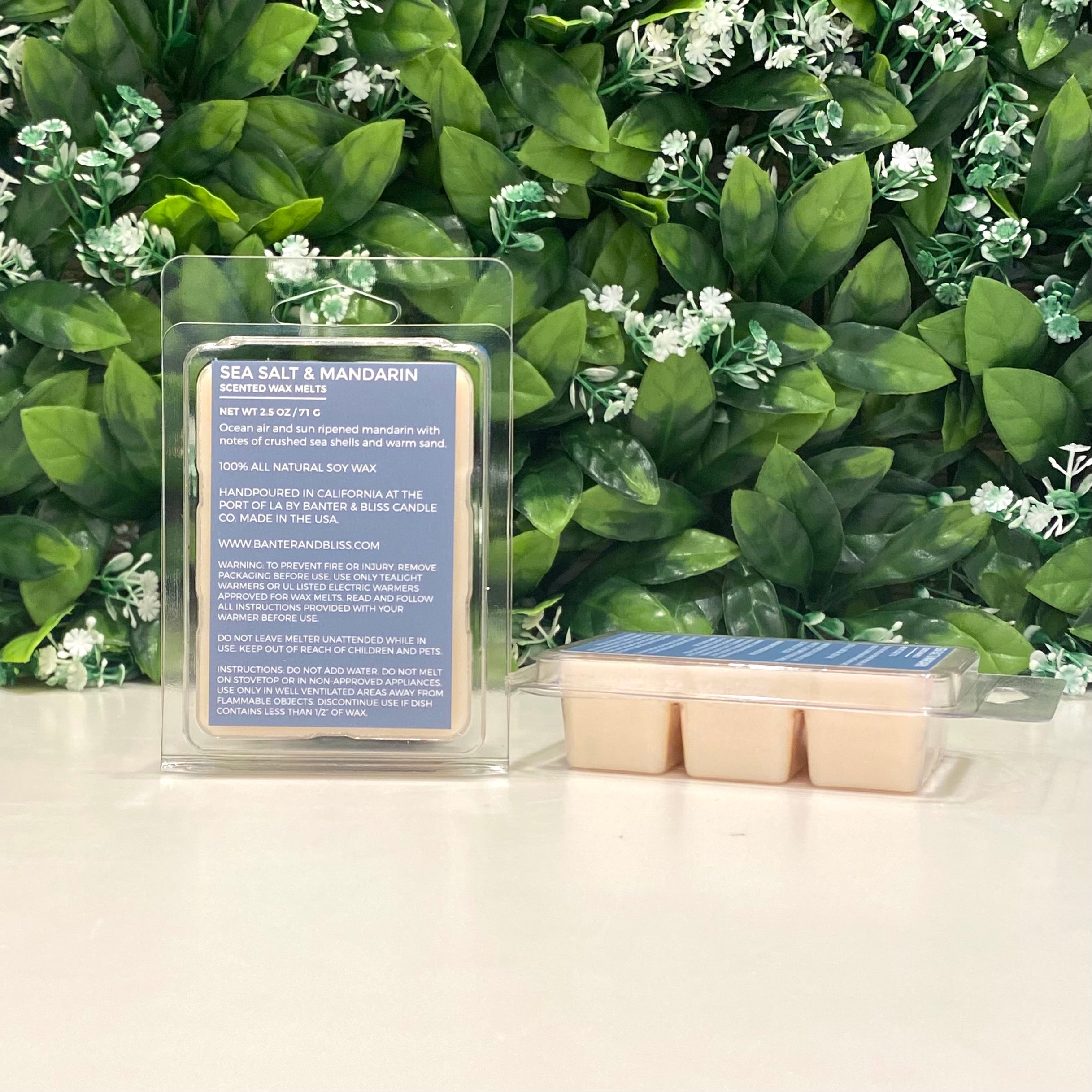 Sea Salt & Mandarin Soy Wax Melts (2.5 oz. | 71 g)