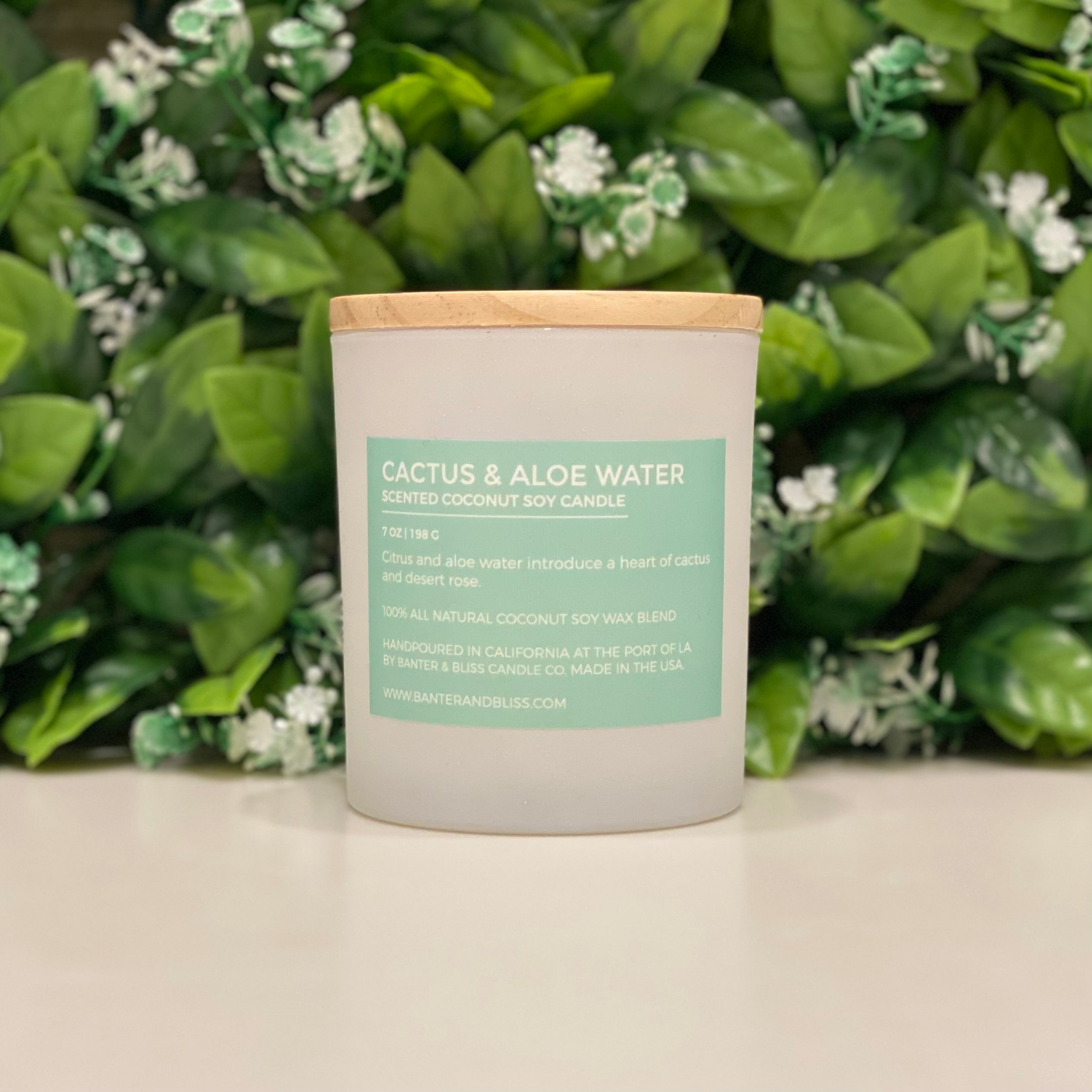 Cactus & Aloe Water. 7 oz. Scented Coconut Soy Candle.